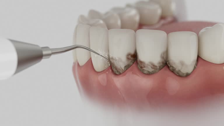 Reliable Dental contractor in Hamtramck, MI by Dentist Open Now